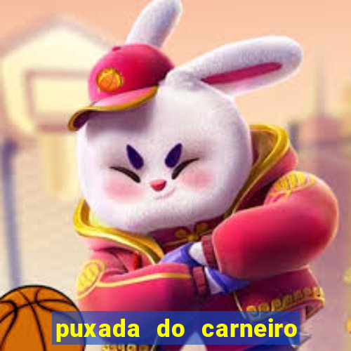 puxada do carneiro no jogo do bicho